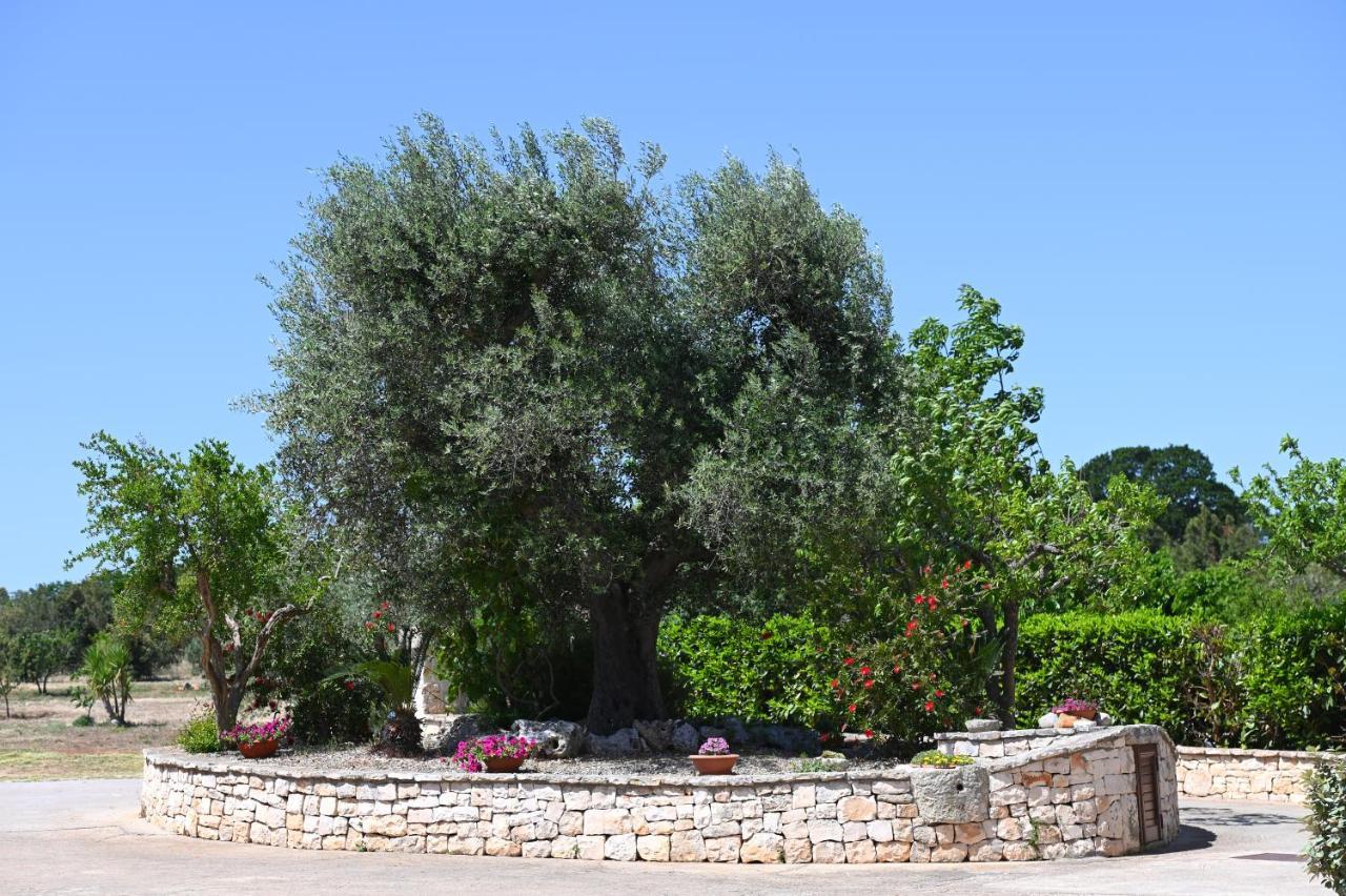 Masseria Peppeturro Чистернино Экстерьер фото
